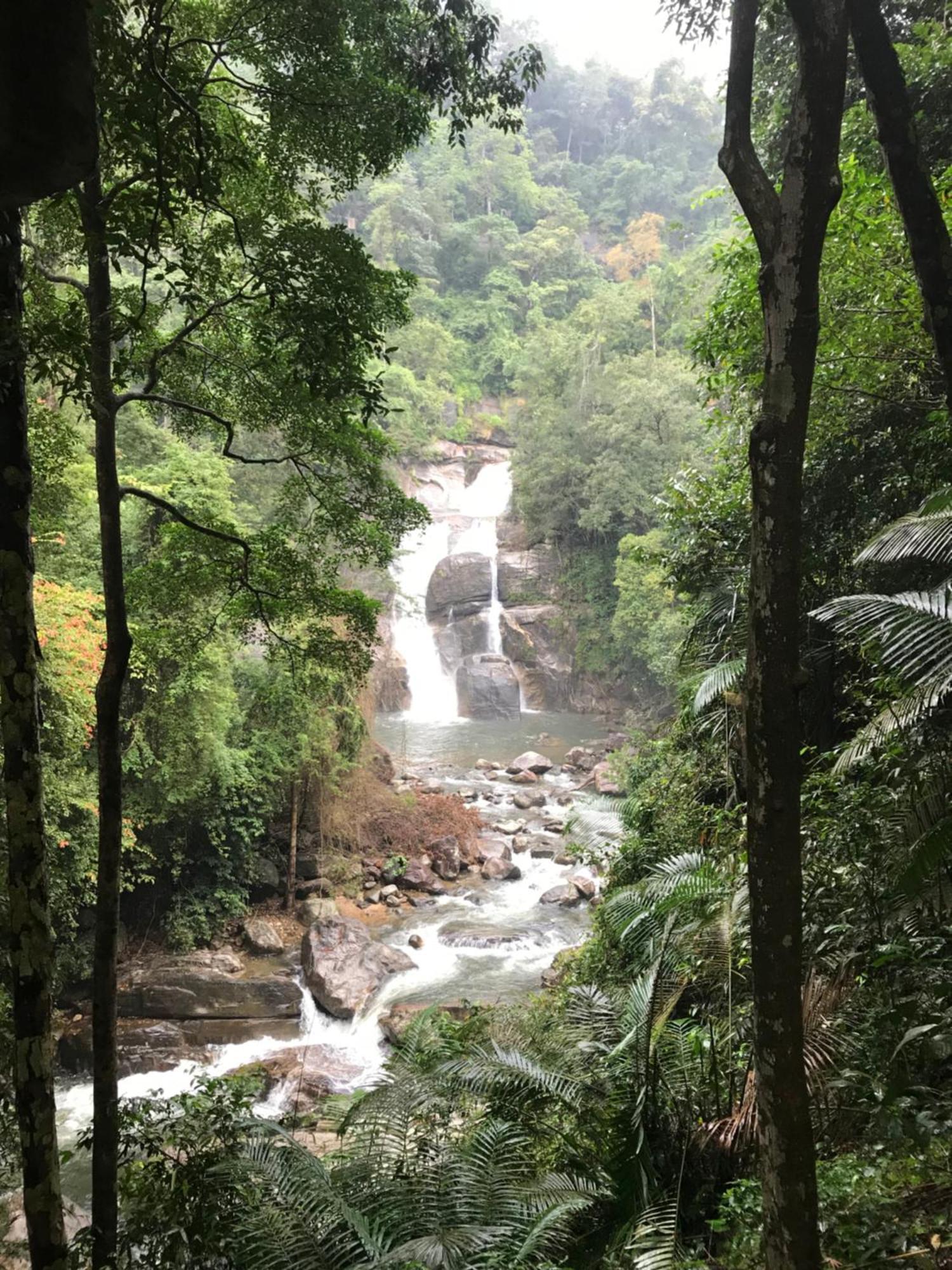 The First Place Yogaresort, Odayam Varkala Bagian luar foto